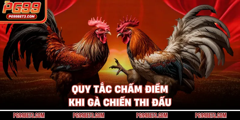 Quy tắc chấm điểm khi gà chiến thi đấu
