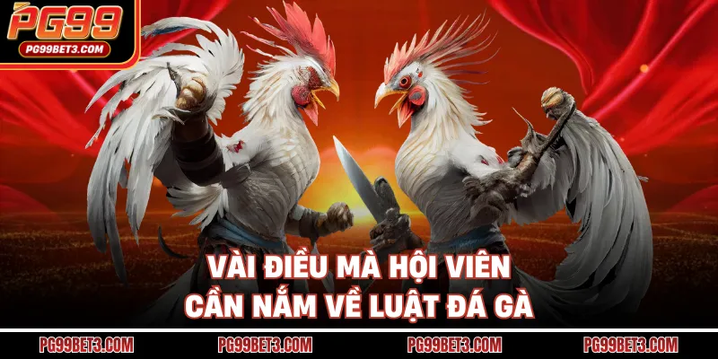 Vài điều mà hội viên cần nắm về luật đá gà